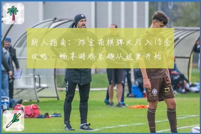 新人指南:炸金花棋牌大厅入门全攻略,畅享游戏乐趣从这里开始