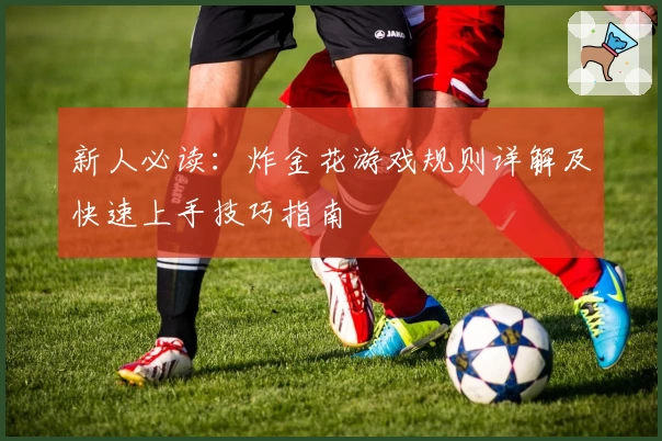 新人必读：炸金花游戏规则详解及快速上手技巧指南