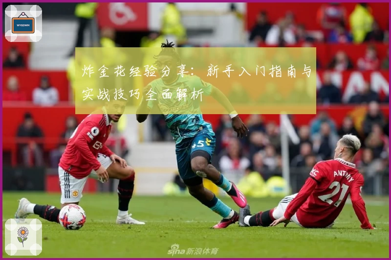 炸金花经验分享:新手入门指南与实战技巧全面解析