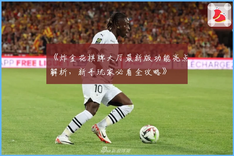 《炸金花棋牌大厅最新版功能亮点解析,新手玩家必看全攻略》