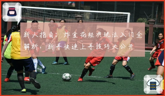 新人指南:炸金花经典玩法入门全解析,新手快速上手技巧大公开