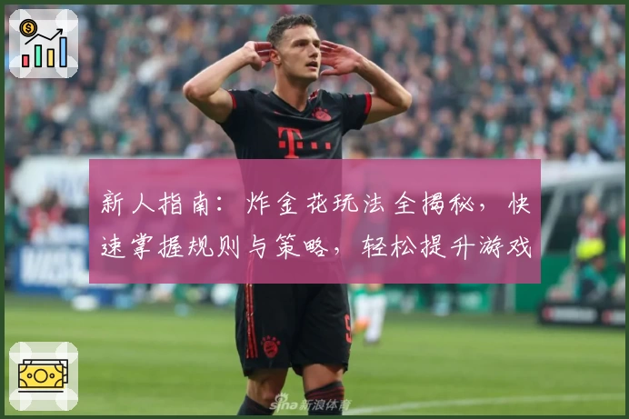 新人指南：炸金花玩法全揭秘，快速掌握规则与策略，轻松提升游戏技巧