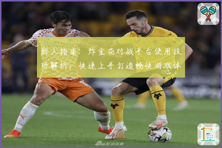 新人指南：炸金花对战平台使用技巧解析，快速上手打造畅快游戏体验