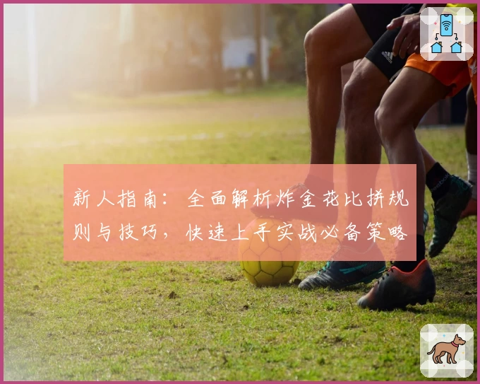 新人指南：全面解析炸金花比拼规则与技巧，快速上手实战必备策略