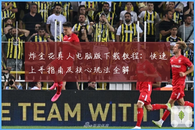 炸金花真人电脑版下载教程：快速上手指南及核心玩法全解