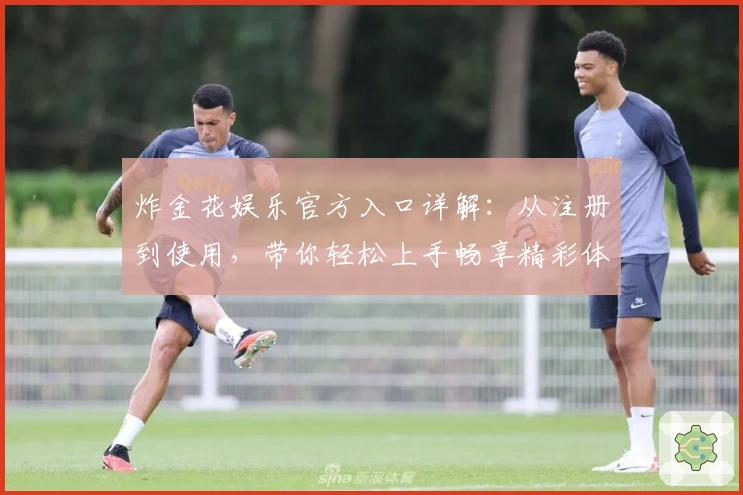 炸金花娱乐官方入口详解：从注册到使用，带你轻松上手畅享精彩体验