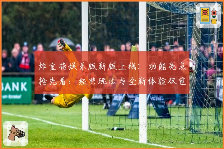 炸金花娱乐版新版上线：功能亮点抢先看，经典玩法与全新体验双重惊喜
